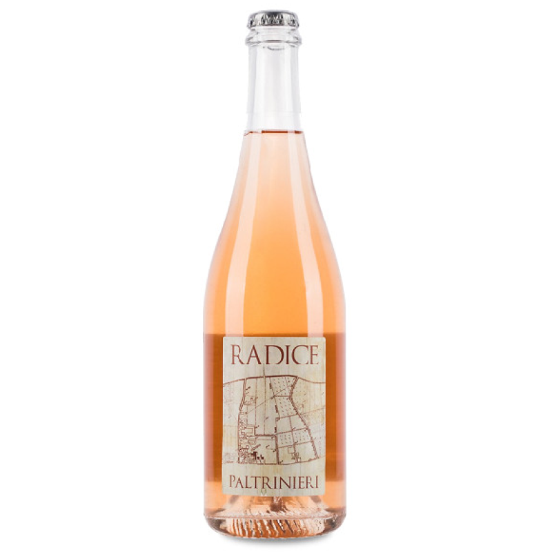 Paltrinieri Gianfranco Radice Lambrusco di Sorbara Rose DOC 2024