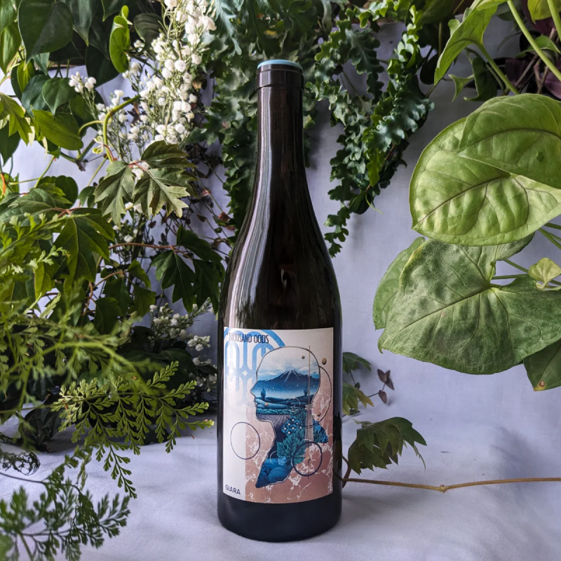 A Thousand Gods Giara 2023