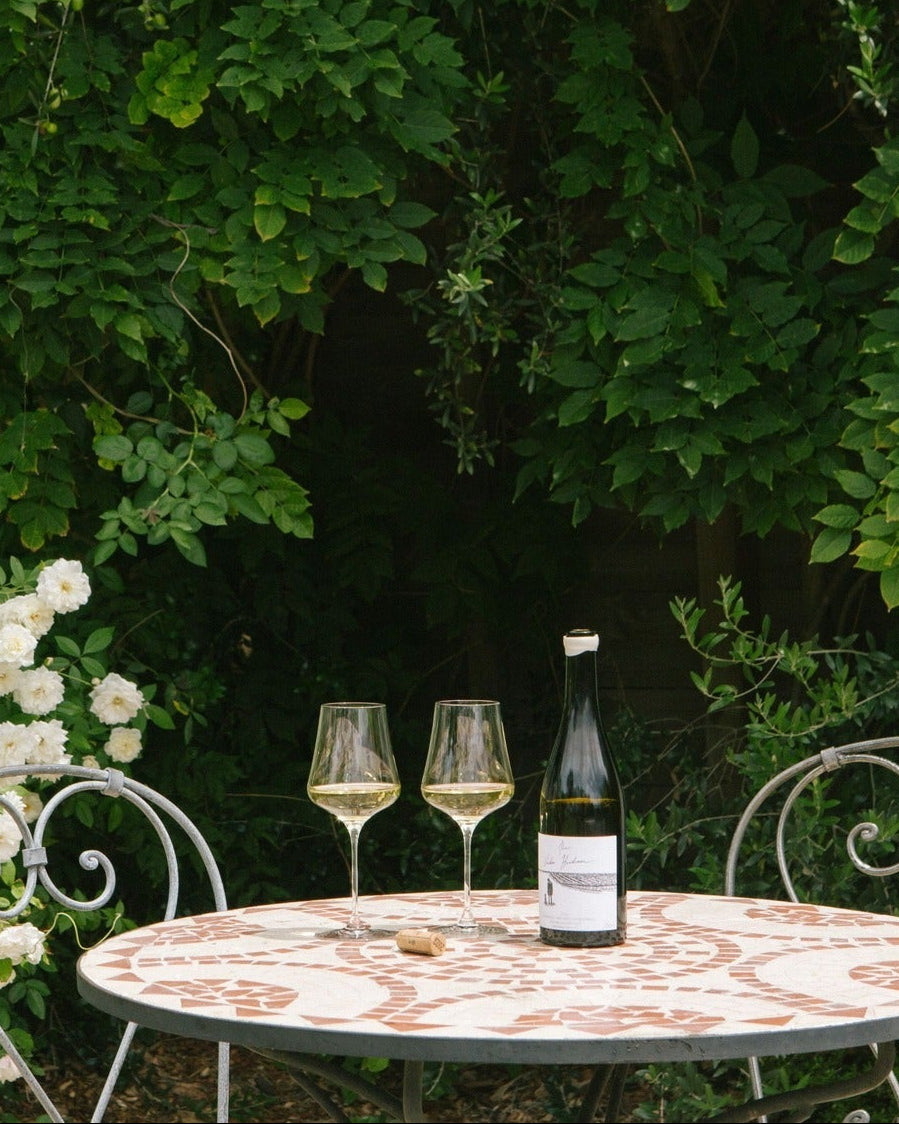Barely A Wine Tasting: Vinden Wines with Angus Vinden! π¦πΊ