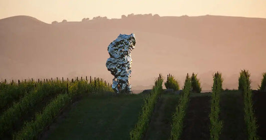 Barely A Wine Tasting: Exploring Donum & Arkenstone Estate